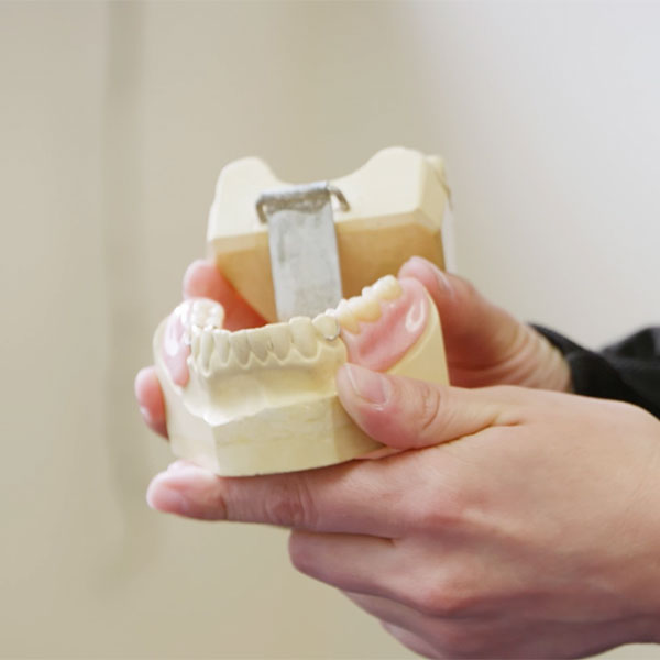 teeth model